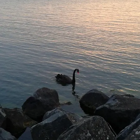 Konukevi Domus Angularia