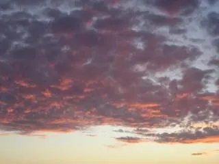 Domus Angularia Maison d'hôtes 3*