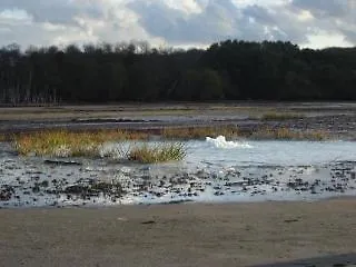 Maison d'hôtes Domus Angularia