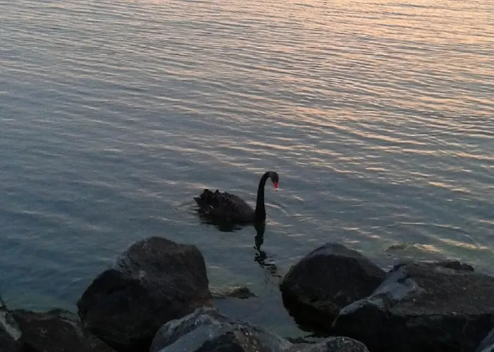 Pensjonat Domus Angularia